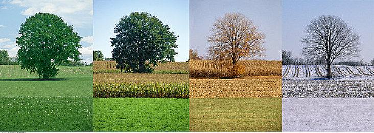 《哥谭骑士》豪华版预告 10月21日正式发售